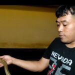 Tim Damkar Jember Evakuasi Ular Kobra Jawa Bersembunyi di Atas Lemari Warga