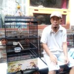 Cendet Satu Nyali Milik Komari, Sang Juara Kontes Burung Kicau