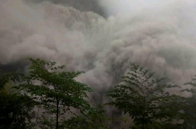 BNPB Sebut Warga Korban Erupsi Gunung Semeru Mengungsi di Tiga Desa