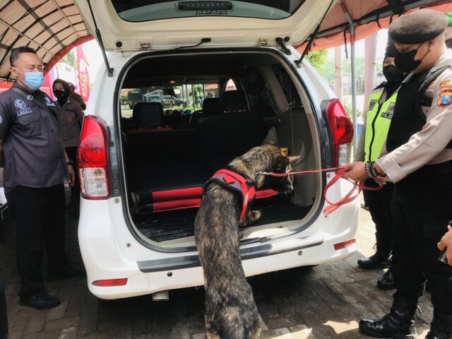 Akses Masuk Mojokerto Diperketat, Petugas Kerahkan Anjing Pelacak Deteksi Narkoba dan Bahan Peledak 