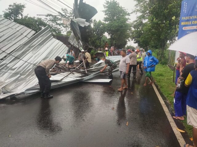 Hujan dan Angin Kencang di Bondowoso Tumbangkan Sejumlah Pohon dan Gudang