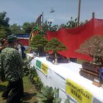 Kontes dan Pameran Tanaman Bonsai Tingkat Nasional di Jombang, Diikuti Ratusan Peserta