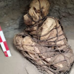 Penemuan Mumi Terikat Tali Kejutkan Para Arkeolog