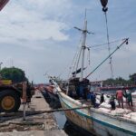 Masih Sengketa, Kayu Gaharu di Pelabuhan Tanjung Tambaga Probolinggo Dibongkar dari Kapal