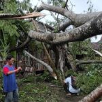 Puting Beliung Terjang Dua Desa di Kediri, Puluhan Pohon Tumbang, Dua Luka