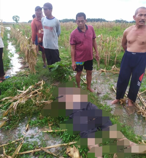 Seorang Pria Jember, Tewas Tersambar Petir di Tengah Sawah