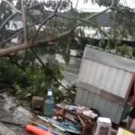 Akibat Hujan Deras Disertai Angin Kencang di Jember, Sebuah Rumah Rusak