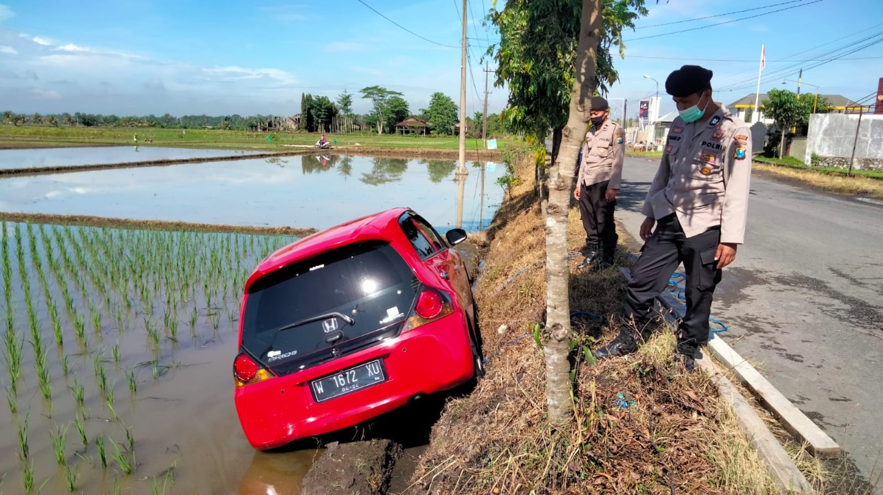 Hilang Kendali, Honda Brio di Blitar Terperosok Ke Sawah