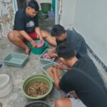 Manfaatkan Sampah Organik, Mahasiswa di Jombang Kumpulkan Cuan dengan Budidaya Maggot