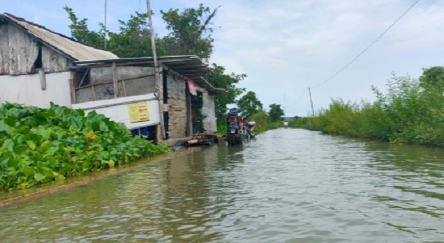 Puluhan Desa di Lamongan Terendam Air Luapan Bengawan Njero