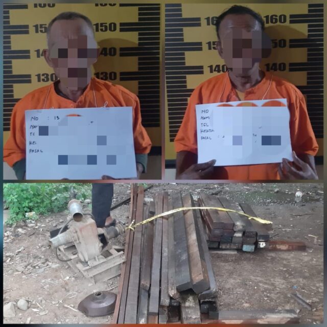 Mencuri Dua Kubik Kayu Balau di Tulungagung, Paman dan Karyawan Dipolisikan