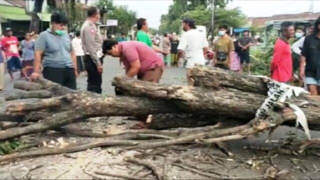 Tertimpa Pohon Tumbang di Sidoarjo, Tiga Korban Dilarikan ke RS