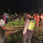 Pengendara Asal Pasuruan Tewas Tertimpa Pohon Tumbang di Sidoarjo
