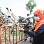 Gubernur Khofifah Ajak Milenial Manfaatkan Peluang Ekonomi Kreatif Lewat NFT