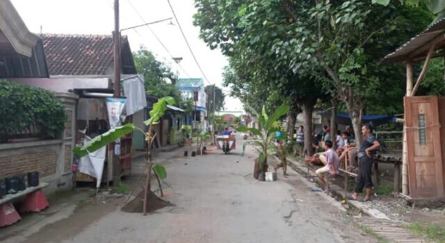Jalan Jombang Berlubang, Warga Geram Tanami Pohon Pisang