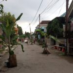 Jalan Rusak di Jombang Ditanami Pisang, Begini Respon Pemkab