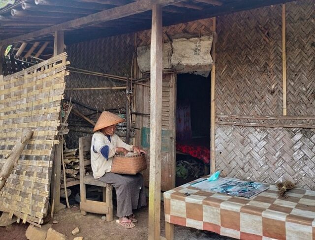 Miris, Wanita Tua Buruh Tani di Jember Tinggal di Rumah Keropos Nyaris Ambruk
