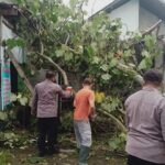 Pohon Tumbang Timpa Dua Rumah Warga di Blitar