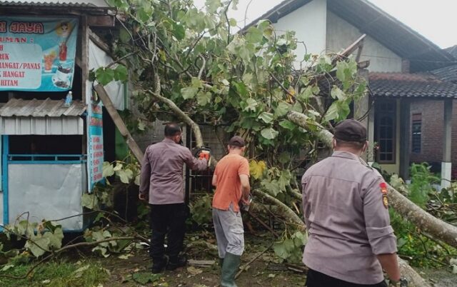 Pohon Tumbang Timpa Dua Rumah Warga di Blitar