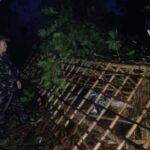 Puluhan Rumah di Jember Rusak Dihajar Angin Kencang, Listrik di Sejumlah Wilayah Padam