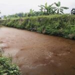DLH Kabupaten Mojokerto, Telusuri Penyebab Air Sungai Berwarna Merah 