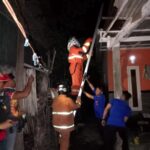 Petugas Damkar Situbondo, Evakuasi Sarang Tawon Jenis Vespa 