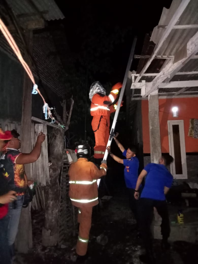 Petugas Damkar Situbondo, Evakuasi Sarang Tawon Jenis Vespa 