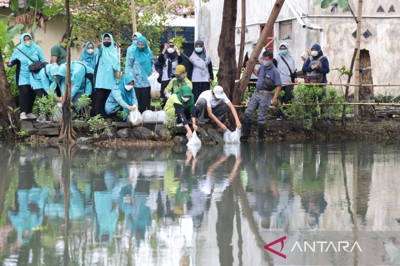 Tebar Benih Ikan, DPKPP Kota Probolinggo Berharap Kembalikan Ekosistem