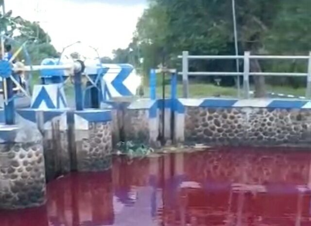 Soal Air Sungai Berubah Merah di Jombang, DLH Belum Temukan Indikasi Akibat Limbah 