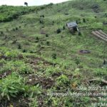 Warga Sekitar Hutan Desa Alastengah Situbondo Keluhkan Program RHL Perhutani