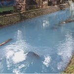 Aneh, Air Sungai Sambiroto Mojokerto Mendadak Berwarna Biru