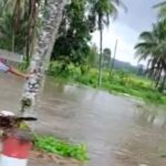Dua Desa di Blitar Terendam Banjir, Akibat Diguyur Hujan Lebat