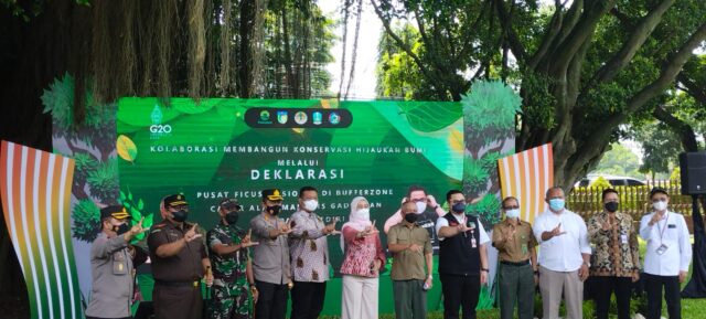 Kabupaten Kediri Ditetapkan Jadi Pusat Fikus Nasional