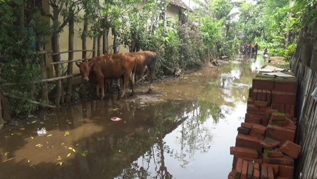 25 Rumah di Kelurahan Sumber Kota Probolinggo Jadi Langganan Genangan Air Hujan