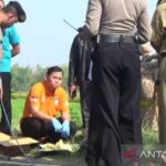 Warga Madiun Temukan Jasad Bayi Membusuk di Saluran Irigasi