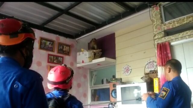 Monyet Liar di Jember Masuk Rumah Warga, Bantingi Perabotan