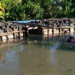 Petani Tambak Sidoarjo Tinggikan Tanggul Antisipasi Banjir