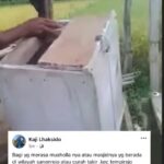 Video Viral di Jember, Kotak Amal Masjid Rusak Dibuang Tengah Sawah