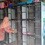 Jasa Penitipan Kucing di Mojokerto Mulai Ramai Jelang Lebaran