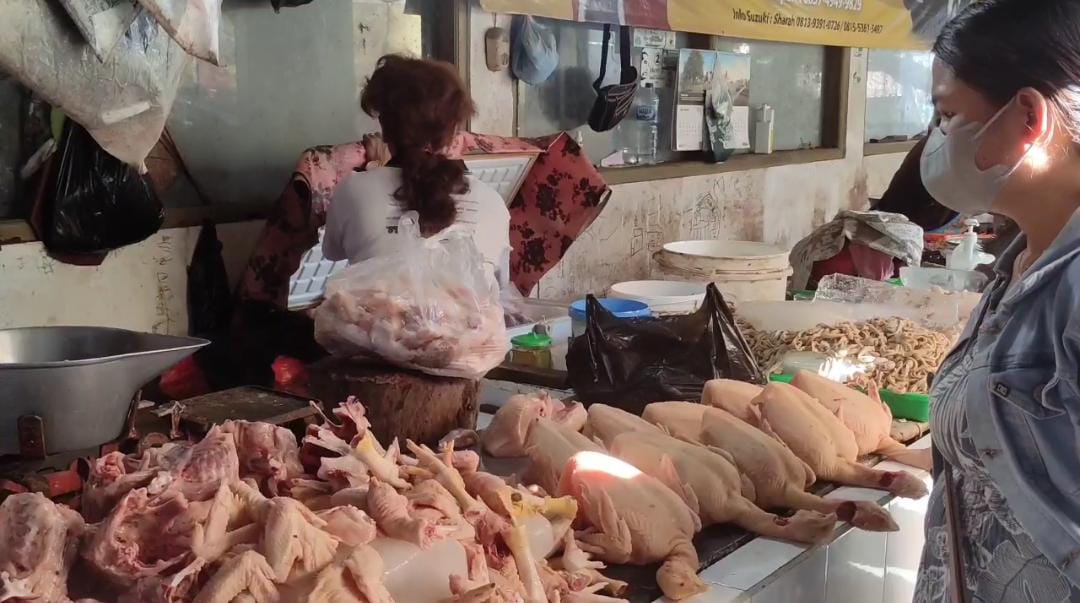 Awal Puasa Ramadan, Harga Ayam di Blitar Melambung Tinggi