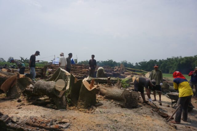 Situs Pandegong di Jombang Kembali Diekskavasi, Diperkirakan Akan Ada Temuan Kembali