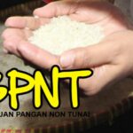 Oknum Camat di Jombang Diduga Ikut Mengondisikan Supplier Komiditi BPNT