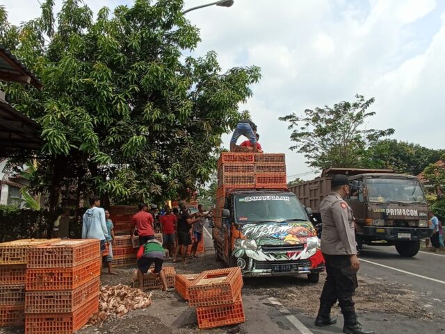 Truk Muatan Ayam Asal Kediri, Terguling di Jombang
