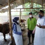 Bupati Kediri Perketat Lalu Lintas Ternak dari Daerah Terinfeksi PMK