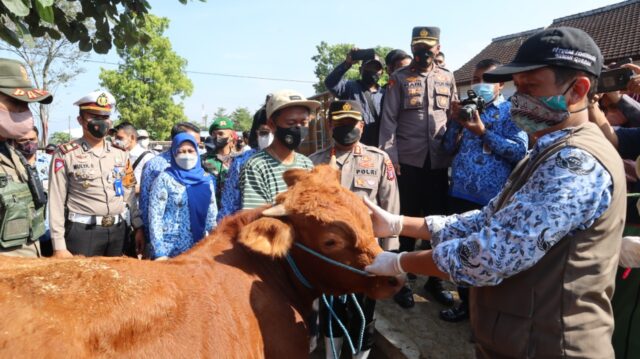 Antisipasi PMK, Polres Blitar Kota Razia Pasar Hewan