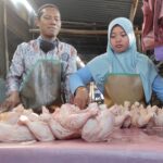 Harga Daging Ayam di Kediri Naik Usai Lebaran