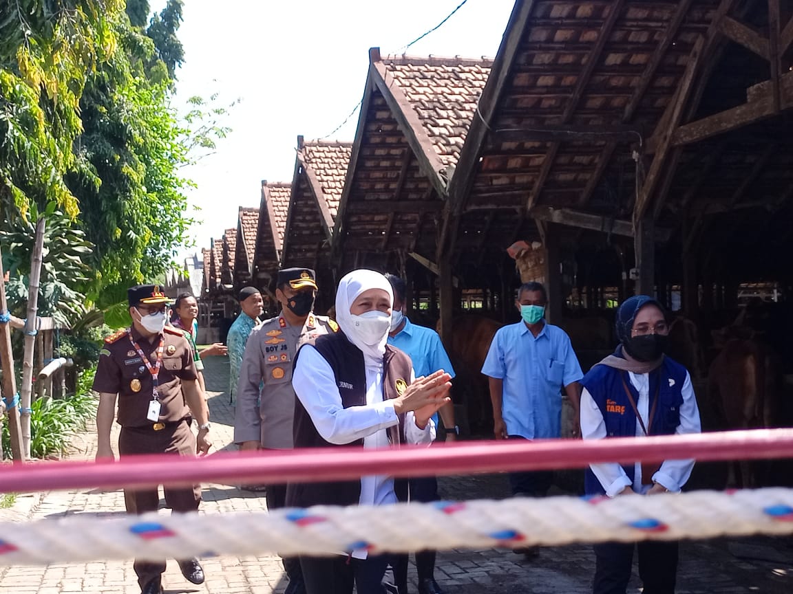 Gubernur Jawa Timur (Jatim) Khofifah Indar Parawansa mengunjungi tempat peternakan Tunas Brahman di Desa Babadan, Kecamatan Pace, Kabupaten Nganjuk, Senin (20/06/2022).