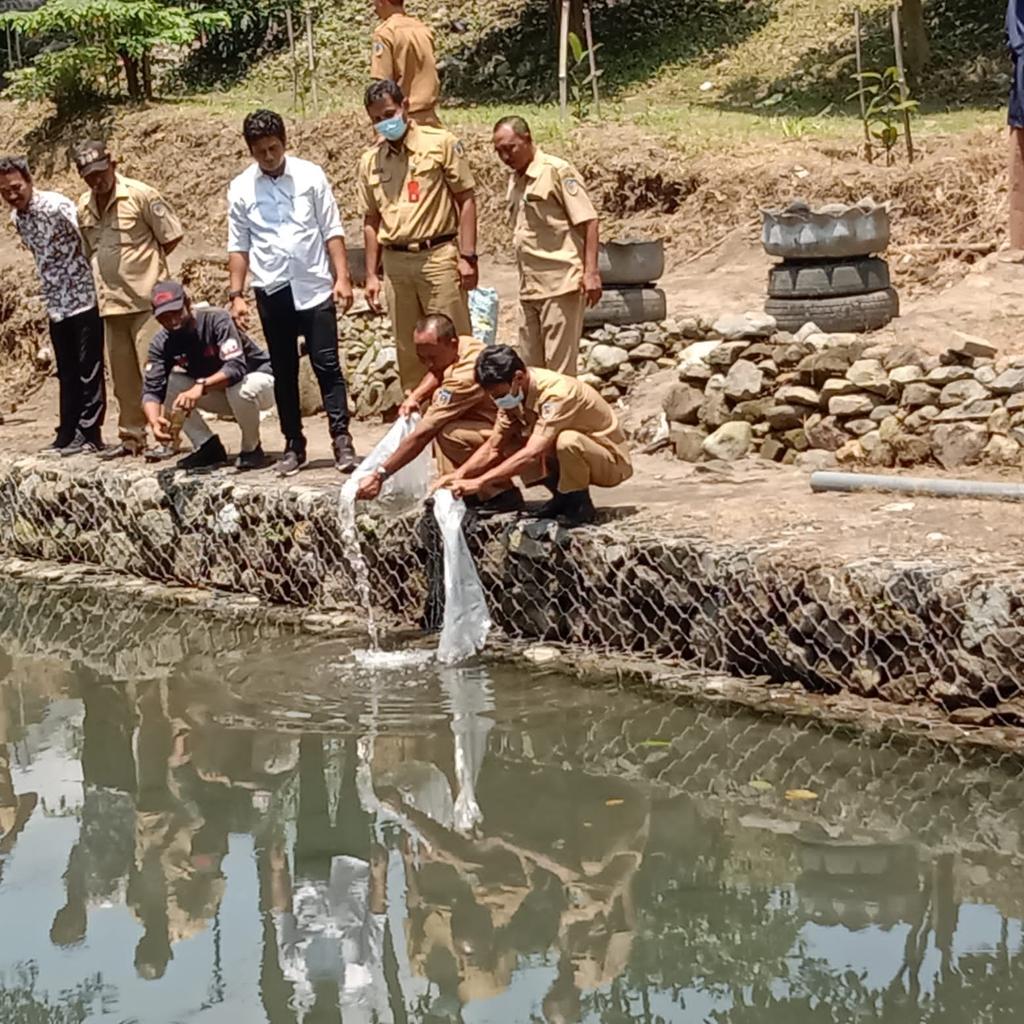 Dinas Perikanan Kabupaten Kediri tebar ribuan ikan di bendungan Warung Turi, Kamis (23/6/2022).