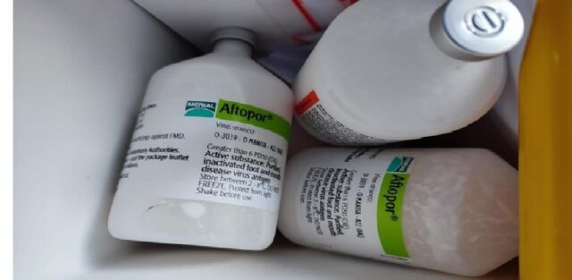 Dispertahankan Ponorogo Dipasok 8.000 Dosis Vaksin PMK