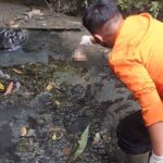 Mayat Bayi di Sungai Jemur Ngawinan Surabaya, Lurah Wonosari Menduga Pembuangnya Warga Sekitar